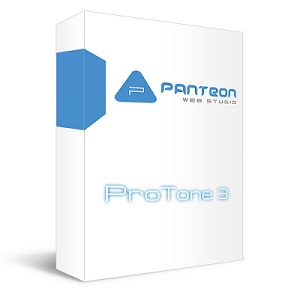 PWS ProTone 3. Интернет-бизнес "Старт"